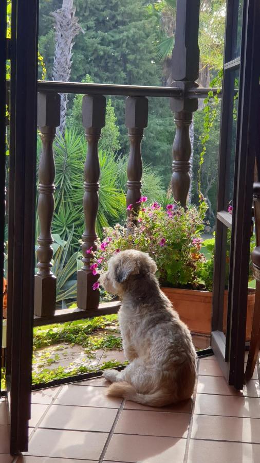 La Casa Del Torreon Bed and Breakfast Aljaraque Εξωτερικό φωτογραφία