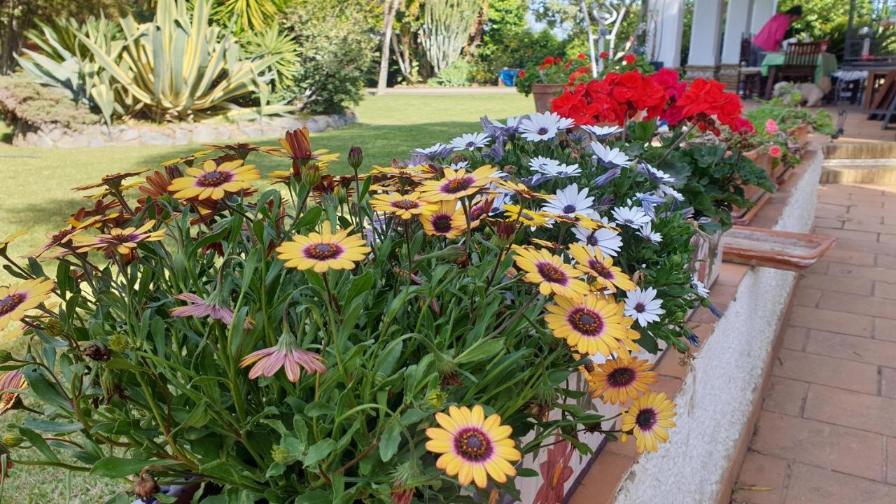 La Casa Del Torreon Bed and Breakfast Aljaraque Εξωτερικό φωτογραφία