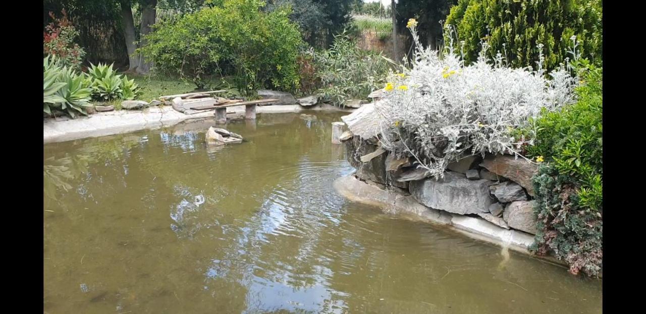 La Casa Del Torreon Bed and Breakfast Aljaraque Εξωτερικό φωτογραφία
