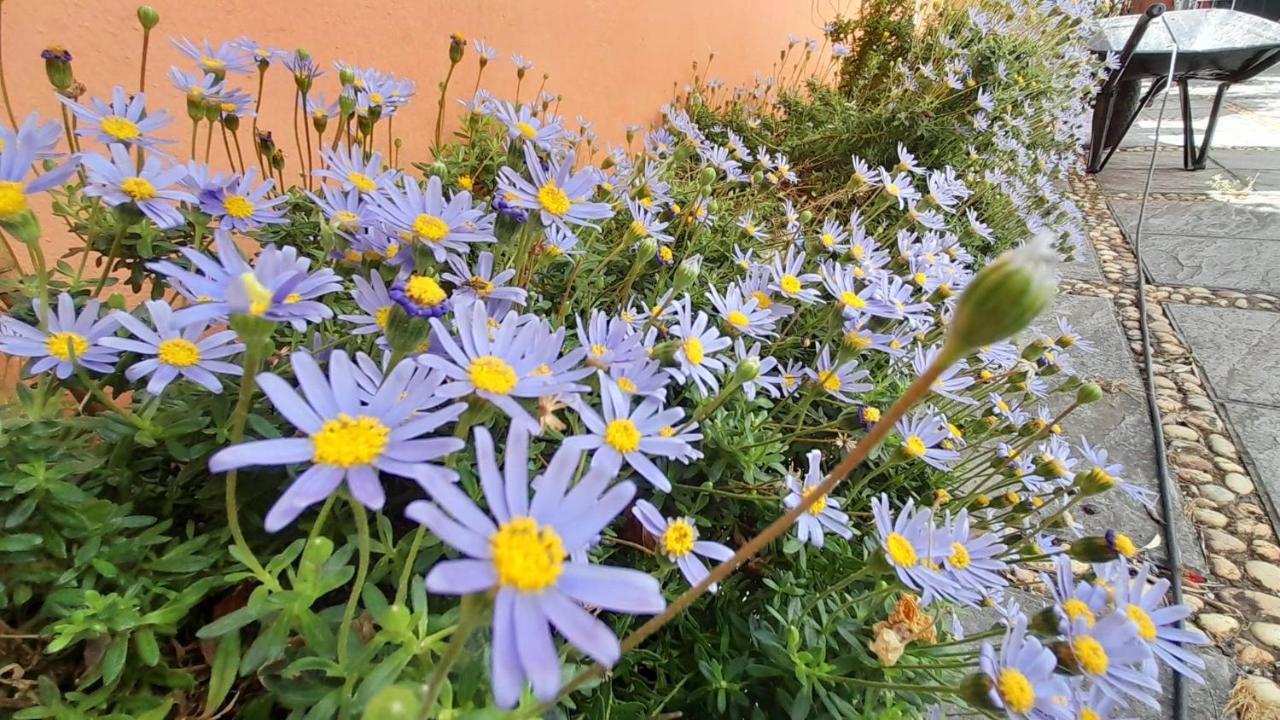 La Casa Del Torreon Bed and Breakfast Aljaraque Εξωτερικό φωτογραφία