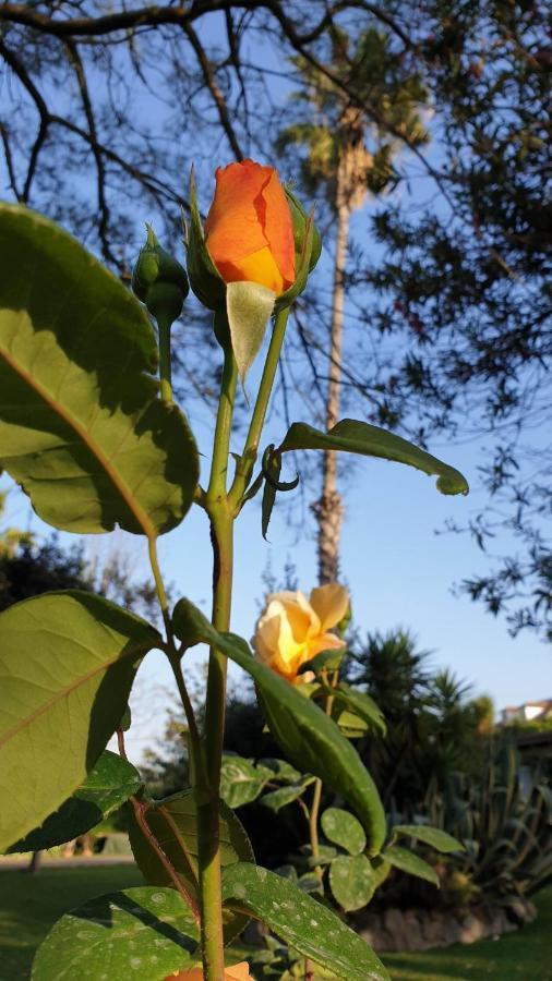 La Casa Del Torreon Bed and Breakfast Aljaraque Εξωτερικό φωτογραφία